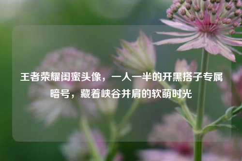 王者荣耀闺蜜头像，一人一半的开黑搭子专属暗号，藏着峡谷并肩的软萌时光