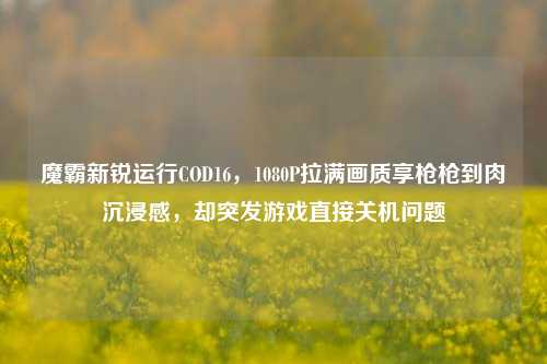 魔霸新锐运行COD16，1080P拉满画质享枪枪到肉沉浸感，却突发游戏直接关机问题