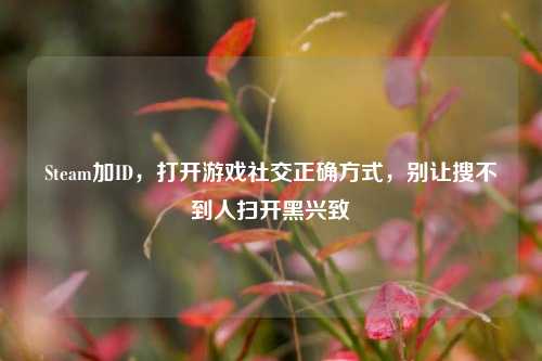 Steam加ID，打开游戏社交正确方式，别让搜不到人扫开黑兴致