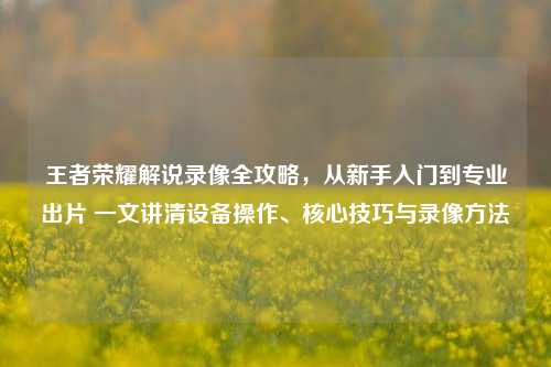 王者荣耀解说录像全攻略，从新手入门到专业出片 一文讲清设备操作、核心技巧与录像方法