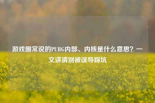 游戏圈常说的PUBG内部、内核是什么意思？一文讲清别被误导踩坑