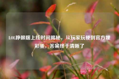 LOL睁眼瞎上线时间揭秘，从玩家玩梗到官方埋彩蛋，答案终于清晰了
