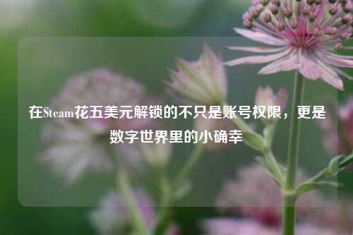 在Steam花五美元解锁的不只是账号权限，更是数字世界里的小确幸