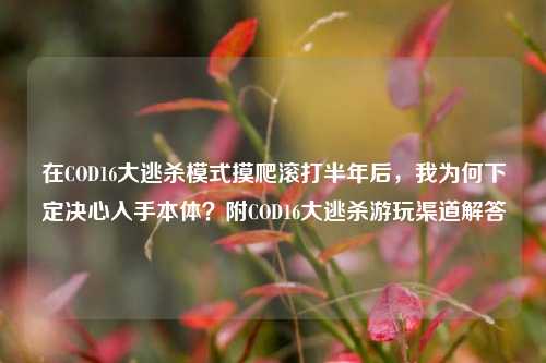 在COD16大逃杀模式摸爬滚打半年后，我为何下定决心入手本体？附COD16大逃杀游玩渠道解答