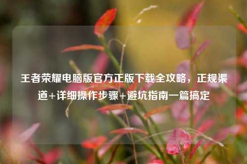 王者荣耀电脑版官方正版下载全攻略，正规渠道+详细操作步骤+避坑指南一篇搞定