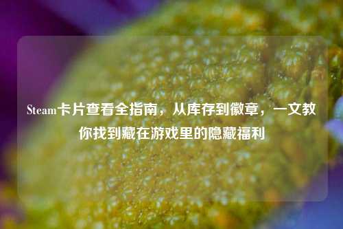 Steam卡片查看全指南，从库存到徽章，一文教你找到藏在游戏里的隐藏福利