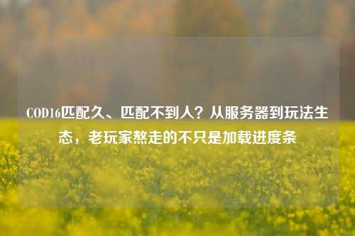 COD16匹配久、匹配不到人？从服务器到玩法生态，老玩家熬走的不只是加载进度条