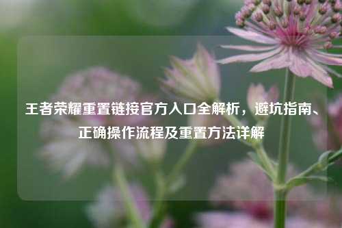 王者荣耀重置链接官方入口全解析，避坑指南、正确操作流程及重置方法详解