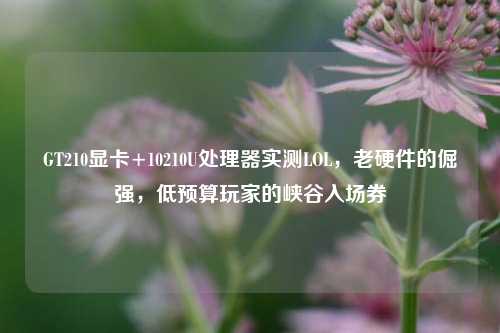 GT210显卡+10210U处理器实测LOL，老硬件的倔强，低预算玩家的峡谷入场券