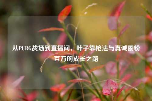 从PUBG战场到直播间,叶子靠枪法与真诚圈粉百万的成长之路