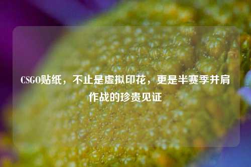 CSGO贴纸，不止是虚拟印花，更是半赛季并肩作战的珍贵见证