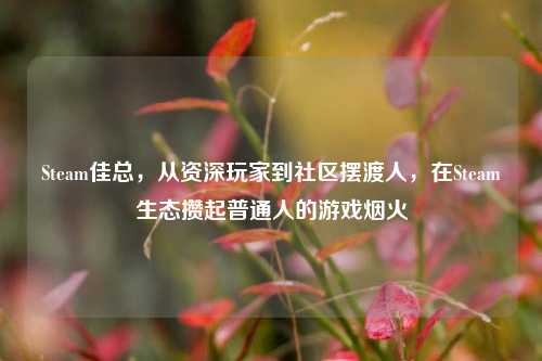 Steam佳总，从资深玩家到社区摆渡人，在Steam生态攒起普通人的游戏烟火