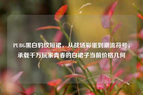 PUBG黑白豹纹短裙，从战场彩蛋到潮流符号，承载千万玩家青春的白裙子当前价格几何