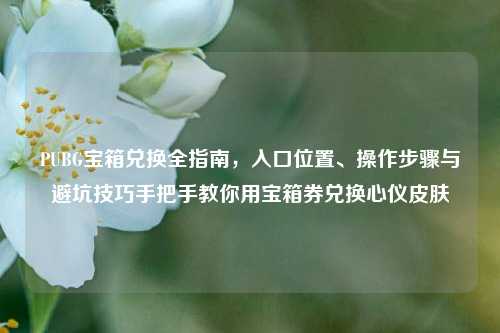 PUBG宝箱兑换全指南,入口位置、操作步骤与避坑技巧手把手教你用宝箱券兑换心仪皮肤