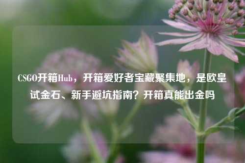 CSGO开箱Hub，开箱爱好者宝藏聚集地，是欧皇试金石、新手避坑指南？开箱真能出金吗
