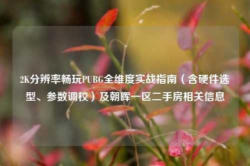 2K分辨率畅玩PUBG全维度实战指南（含硬件选型、参数调校）及朝晖一区二手房相关信息