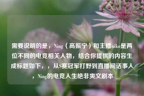 需要说明的是，Ning（高振宁）和主播niko是两位不同的电竞相关人物，结合你提供的内容生成标题如下，，从S赛冠军打野到直播间话事人，Ning的电竞人生绝非爽文剧本
