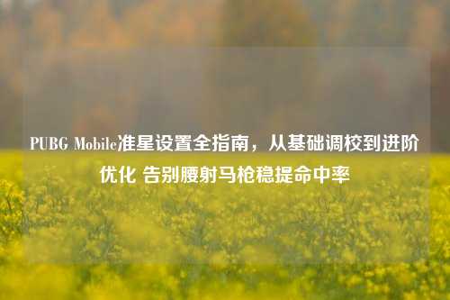PUBG Mobile准星设置全指南，从基础调校到进阶优化 告别腰射马枪稳提命中率