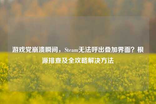 游戏党崩溃瞬间,Steam无法呼出叠加界面?根源排查及全攻略解决方法