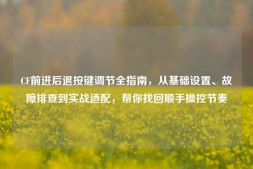 CF前进后退按键调节全指南,从基础设置、故障排查到实战适配,帮你找回顺手操控节奏