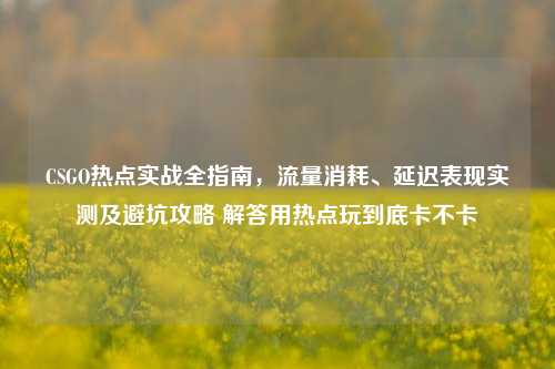 CSGO热点实战全指南，流量消耗、延迟表现实测及避坑攻略 解答用热点玩到底卡不卡