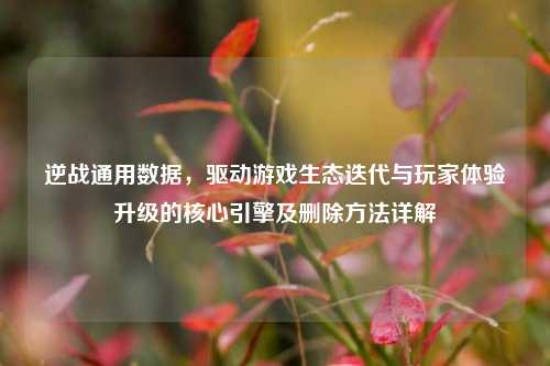 逆战通用数据，驱动游戏生态迭代与玩家体验升级的核心引擎及删除方法详解