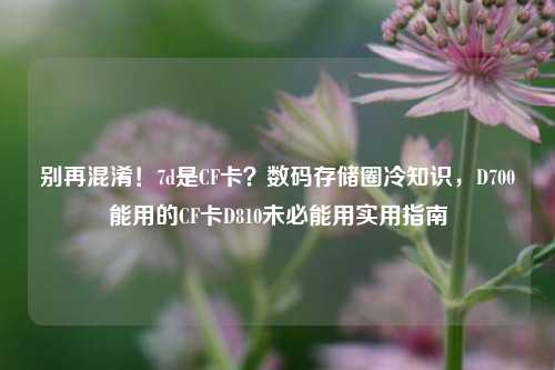 别再混淆！7d是CF卡？数码存储圈冷知识，D700能用的CF卡D810未必能用实用指南