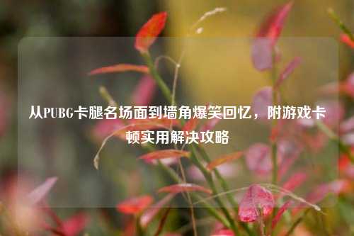 从PUBG卡腿名场面到墙角爆笑回忆，附游戏卡顿实用解决攻略