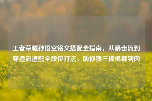 王者荣耀孙悟空铭文搭配全指南，从暴击流到穿透流适配全段位打法，助你猴三棍棍棍到肉