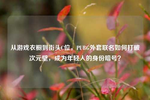 从游戏衣橱到街头C位，PUBG外套联名如何打破次元壁，成为年轻人的身份暗号？