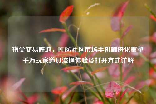 指尖交易阵地,PUBG社区市场手机端进化重塑千万玩家道具流通体验及打开方式详解