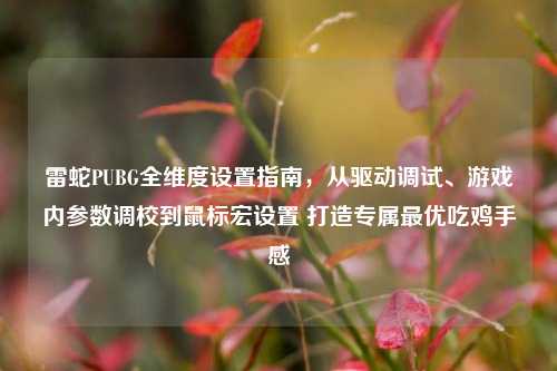 雷蛇PUBG全维度设置指南，从驱动调试、游戏内参数调校到鼠标宏设置 打造专属最优吃鸡手感