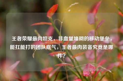 王者荣耀最肉坦克,非血量堆砌的移动堡垒,能扛能打的团队底气,王者最肉装备究竟是哪件?