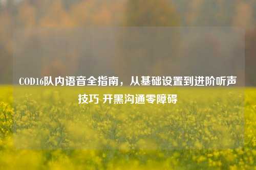 COD16队内语音全指南，从基础设置到进阶听声技巧 开黑沟通零障碍