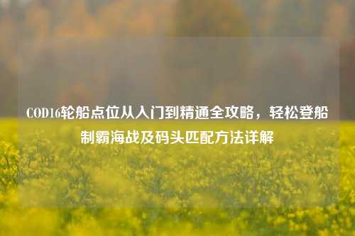 COD16轮船点位从入门到精通全攻略，轻松登船制霸海战及码头匹配方法详解