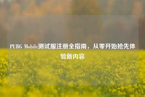 PUBG Mobile测试服注册全指南，从零开始抢先体验新内容