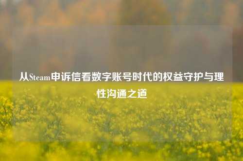 从Steam申诉信看数字账号时代的权益守护与理性沟通之道