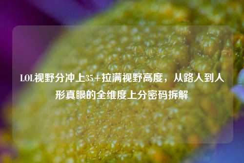 LOL视野分冲上35+拉满视野高度,从路人到人形真眼的全维度上分密码拆解