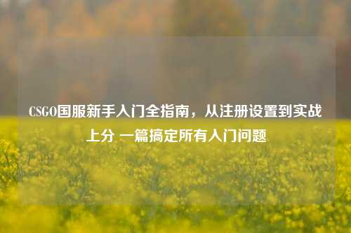 CSGO国服新手入门全指南，从注册设置到实战上分 一篇搞定所有入门问题