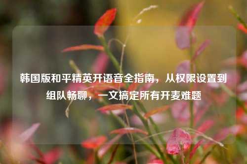 韩国版和平精英开语音全指南，从权限设置到组队畅聊，一文搞定所有开麦难题