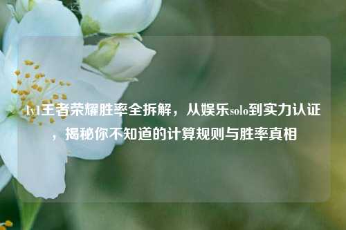 1v1王者荣耀胜率全拆解,从娱乐solo到实力认证,揭秘你不知道的计算规则与胜率真相