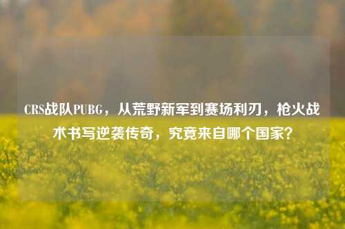 CRS战队PUBG,从荒野新军到赛场利刃,枪火战术书写逆袭传奇,究竟来自哪个国家?