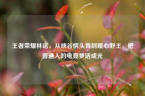 王者荣耀林诺，从峡谷愣头青到暖心野王，把普通人的电竞梦活成光