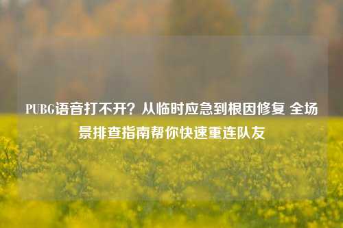 PUBG语音打不开?从临时应急到根因修复 全场景排查指南帮你快速重连队友