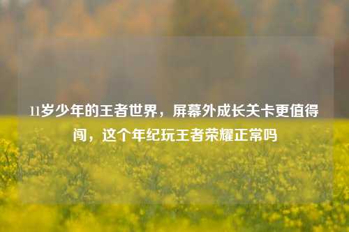 11岁少年的王者世界,屏幕外成长关卡更值得闯,这个年纪玩王者荣耀正常吗