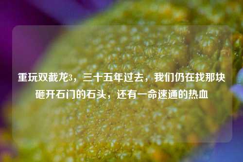 重玩双截龙3,三十五年过去,我们仍在找那块砸开石门的石头,还有一命速通的热血