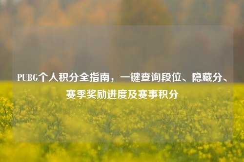 PUBG个人积分全指南，一键查询段位、隐藏分、赛季奖励进度及赛事积分