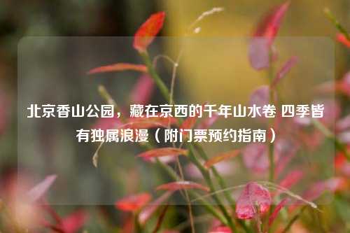 北京香山公园,藏在京西的千年山水卷 四季皆有独属浪漫(附门票预约指南)