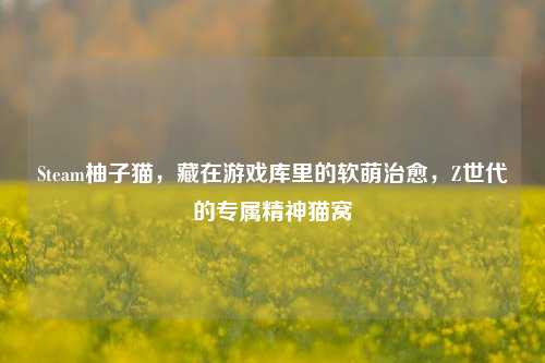Steam柚子猫，藏在游戏库里的软萌治愈，Z世代的专属精神猫窝
