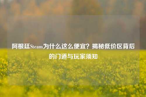 阿根廷Steam为什么这么便宜?揭秘低价区背后的门道与玩家须知